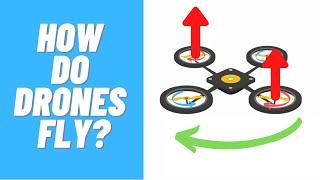 Basics of Drone - How do Drones Fly?