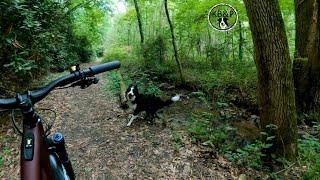 Turkey Creek Campground - Ride/Swim w/Pepper!