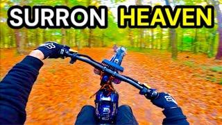 SURRONS Invade A HUGE Woodland // 72V Twin Torp + Custom Surron X's