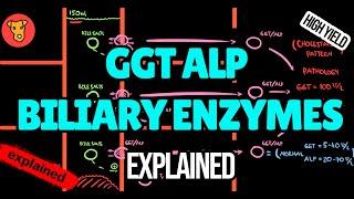 GGT ALP Biliary enzymes Markers of cholestasis gamma glutamyl transferase alkaline phosphatase