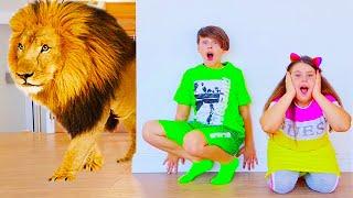 How to draw Animals? Learn drawing for kids | Toddler Learning Videos