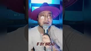 If - BREAD - ( Sherwin Castro Music COVER )#sherwincastro