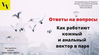 Как работают кожный и анальный вектор в паре. ВектораВсем. Проект Вячеслава Юнева