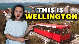 The TOP 15 things to do in Wellington New Zealand!