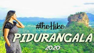 Pidurangala Rock Hike, Unveiling the Majestic Beauty of Sri Lanka  | පිදුරංගල​