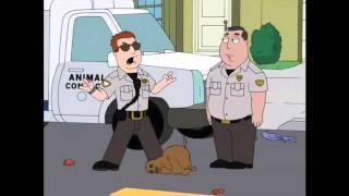 American Dad! - CSI Miami Joke