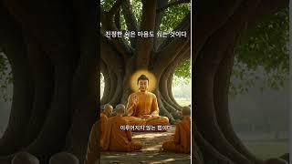 진정한 쉼은 마음도 쉬는 것이다