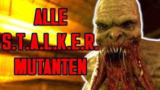 Alle STALKER Mutanten - Lore, Cut Content & Ranking - LoreCore