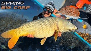 Gábor Döme– Spring-starter Method Tipps for Big-carp