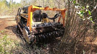 THE JUICE IS LOOSE! Big Munchie Let Loose On These OVERGROWN Food Plots!