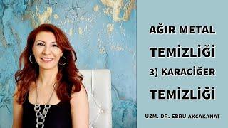 Agir metal temizliği 3) Karaciğer temizliği