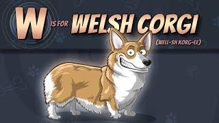 The Welsh Corgi