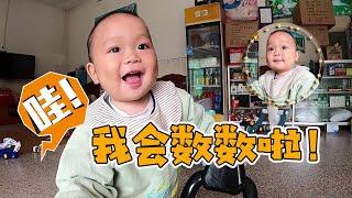 Xiao Huihui still doesn't know how to walk, but can count from 1 to 10. The milk is so cute