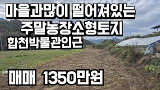 705번)마을과많이 떨어져있는 주말농장 소형토지