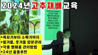 2024년 고추재배 교육 (육묘기부터 수확기까지 관리방안/품종추천)