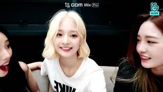 프로미스나인(fromis9) 노지선 욕설 논란