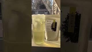 I made some refreshing spring sun tea from obubu tea farms.  #SpringVibes  #tea #teatime #sunny
