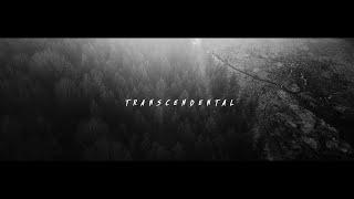 NEUROTIC MACHINERY - TRANSCENDENTAL [OFFICIAL MUSIC VIDEO] (2022) SW EXCLUSIVE