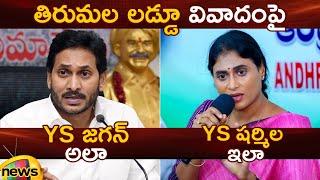 YS Jagan And YS Sharmila Comments On Tirupati Laddu Controversy | YCP | Congress | AP Politics