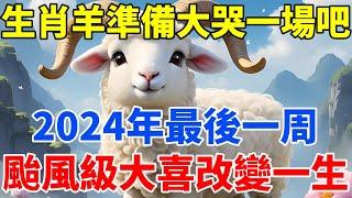 生肖羊準備大哭一場吧！2024年最後一周，颱風級大喜或將改變你的一生！【佛語禪音】#生肖 #命理 #運勢 #屬相 #風水