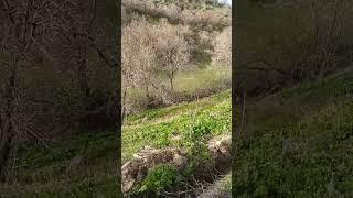 ۱ روش ساخت تامنیل خفن برای یوتیوب و کاور اینستاگرام با هوش مصنوعی ai بدون فتوشاپ!