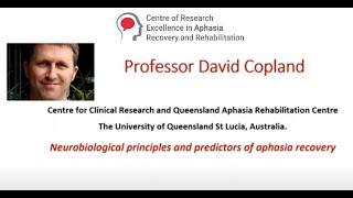 Neurobiological principles and predictors of aphasia recovery. - Professor David Copland