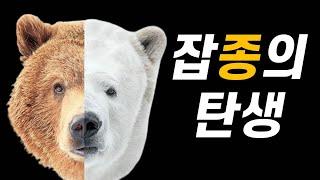 북극곰+회색곰 = ?｜북극에서는 무슨 일이 벌어지고 있는 걸까?