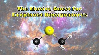 The Elusive Quest for Exoplanet Biosignatures