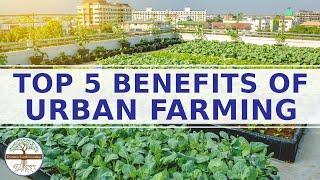 Top 5 Benefits of Urban Farming Explainer Video