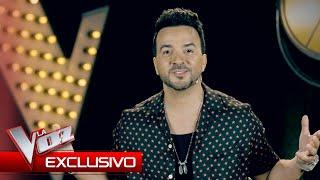 Luis Fonsi sufrirá este año | Exclusivo | La Voz Antena 3 2024