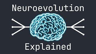 Neuroevolution Explained by Example