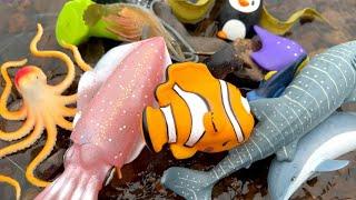 Sea Animal Educational Toys Collection