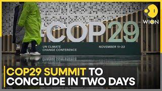 COP29: Climate Activists Demand 'New Deal' In Baku | World News | WION