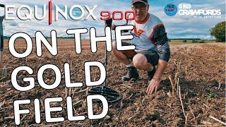 Minelab Equinox 900. metal detecting on the Gold Fields