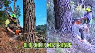 Keeping Old Skills Sharp