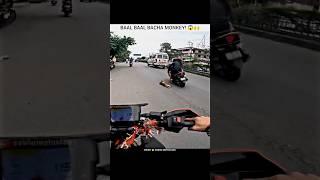 Monkey's MIRACLE ESCAPE Caught on Camera!  | #shorts