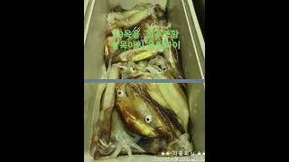 진해더블피싱 9.77톤 먼바다 루어전용선 한치 낚시 예약 010-6668-1782 #진해더블피싱 #한치이카메탈 #한치오모리 #갈치지깅 #갈치텐야 #갈치텐빈 #참돔타이라바 #무늬팁런