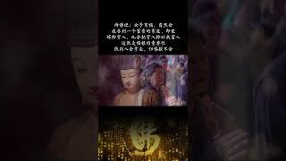 [佛緣·思維格局] 師傅説：女子有福，自然會感召一個富貴傢庭，即使嫁給窮人，也會把窮人給旺成富人，這就是福報的重要性。錢彆人會拿走，但福報不會。紅塵修行 #修行 #人生是一場修行 #禪悟人生 #正能量