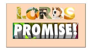 Lord's Promise  |  El Shaddai Worship Channel