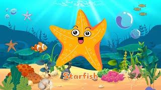 Kids Lean Sea Animals  - Song animals for kids  - SiSi Kids TV