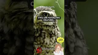 Whoo Knew? Fun Owl Fact! Explore Nighttime Wonders