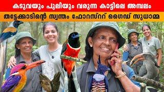 കടുവയും പുലിയും വരുന്ന കാട്ടിലെ അമ്പലം forest guide sudha chandran thattekad wild life sanctuary