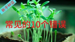 新手种菜常见的10个错误 - 种菜之前一定要知道，很多人都做错了！