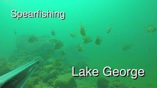 Lake George Spearfishing  Camping | Подводная охота