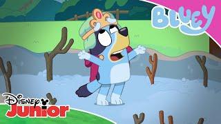 The Adventure  | Bluey  | Disney Junior MENA