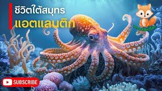 สารคดีสัตว์โลก ตอน ชีวิตใต้สมุทร แอตแลนติก บ้านของสัตว์หลายสายพันธุ์ | สารคดี โลกสารคดี