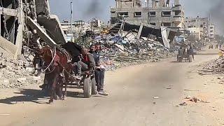 Displaced Palestinians forced out of northern Gaza in vehicles, carts and on foot