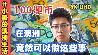 100块钱竟然可以在澳洲做这些事？揭秘澳洲的生活成本，来澳前必看｜澳洲小麦｜Vlog