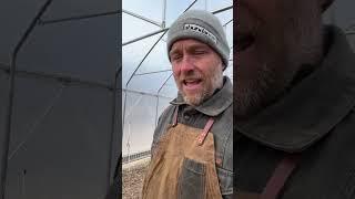 How To Keep Chickens Laying in the Winter