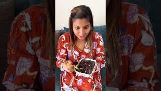 ගෙදර හදන Brownie එකක රස බලමුදහදන්න දන්න අය Comment කරන් යන්න